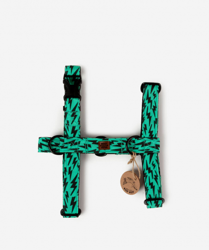 A Magic Cabinet-Lightning Bolt Harnesses L Woof Woof