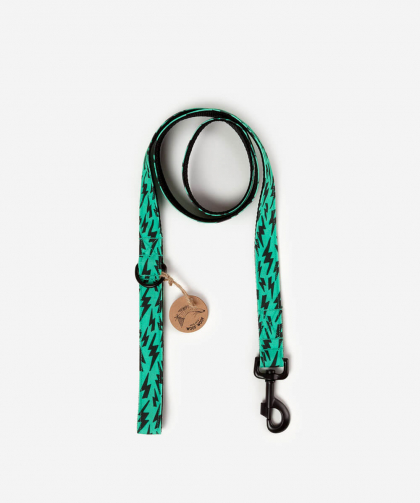 A Magic Cabinet-Lightning Bolt Leash Woof Woof