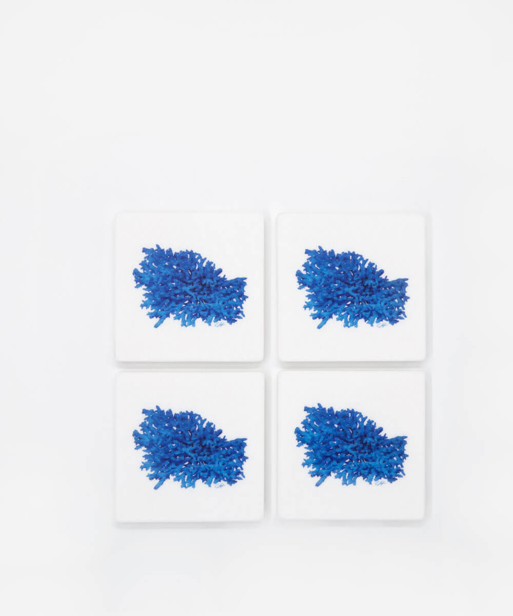 A Magic Cabinet - Marble Sous Verres with Blue Coral Xenia Lekanidi Tibia