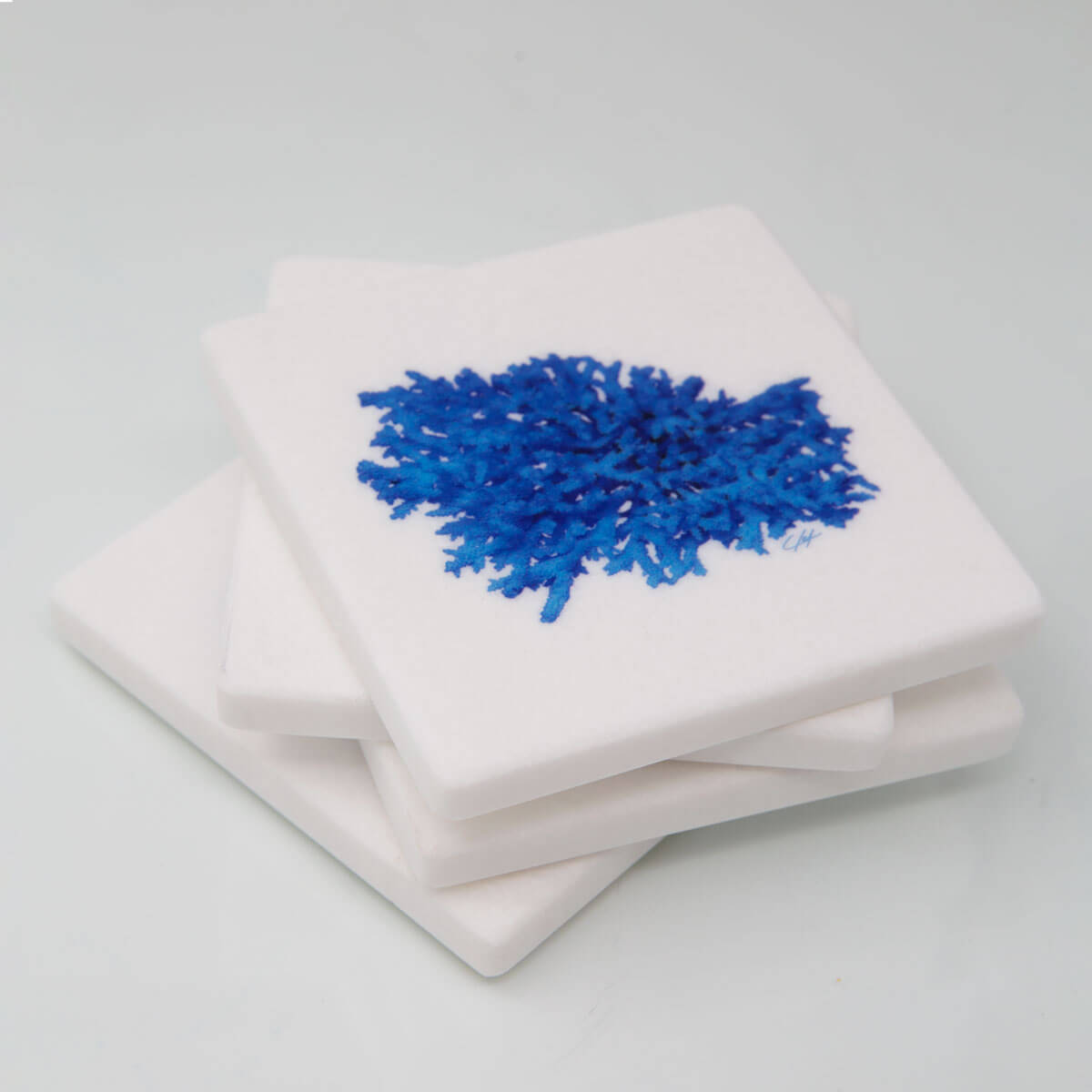 A Magic Cabinet-Marble Sous Verres with Blue Coral Xenia Lekanidi Tibia